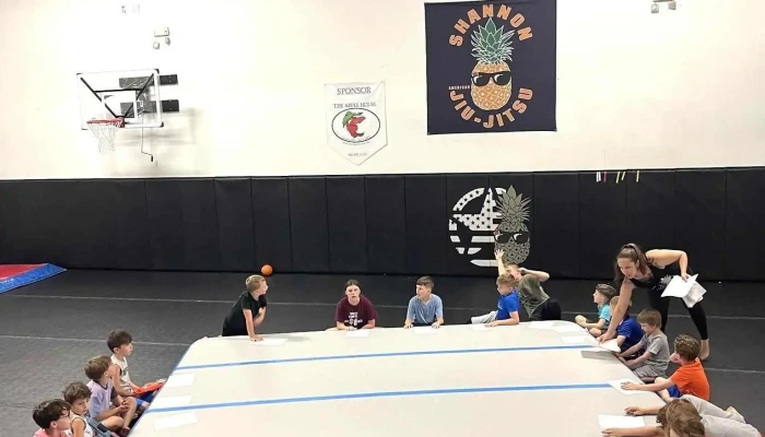 Psf Shannon Arts Jiu -  Jitsu By Owner - Front Royal