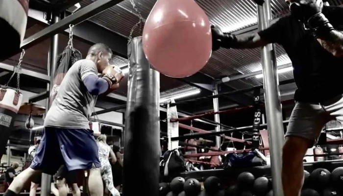 Punch Elite Fitness Miami -  All - Miami