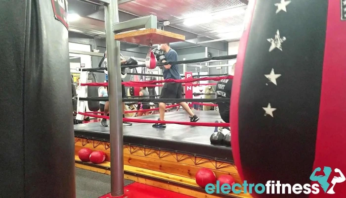 Punch Elite Fitness Miami -  Videos - Miami