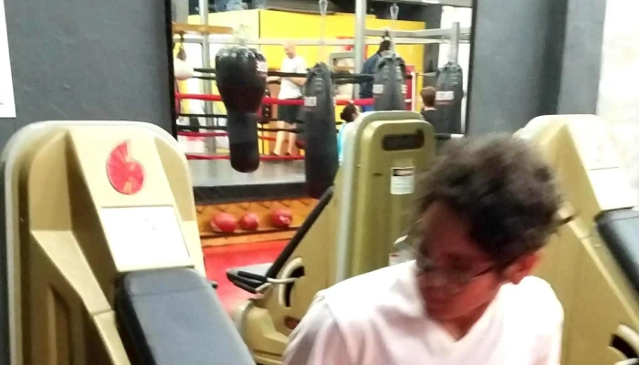 Punch Elite Fitness Miami -  Website - Miami