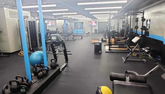 Pure Edge Performance Training -  All - Wexford