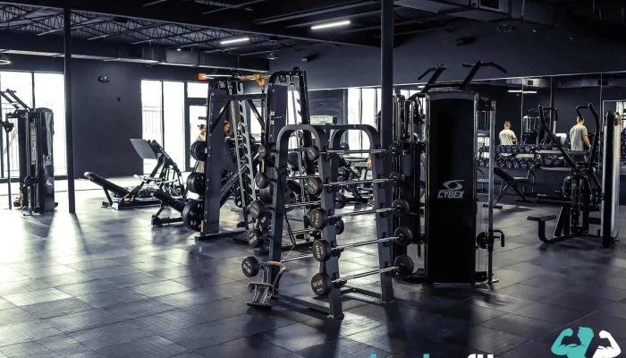 Raw Fit Miami -  All - Miami
