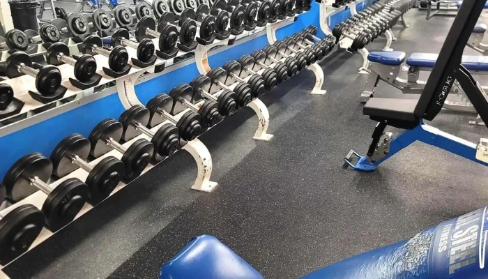 Real Steel Fitness -  All - Claremont