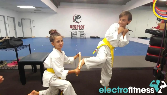Respect Martial Arts -  Martial Art - Agoura Hills