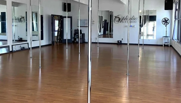 Revel Movement Formerly Known As Ophidia Studio -  All - Boise