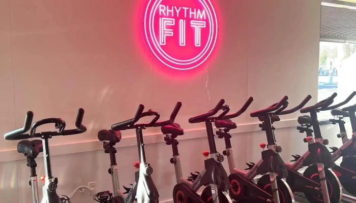 Rhythm Fit -  Exercise Machine - Traverse City
