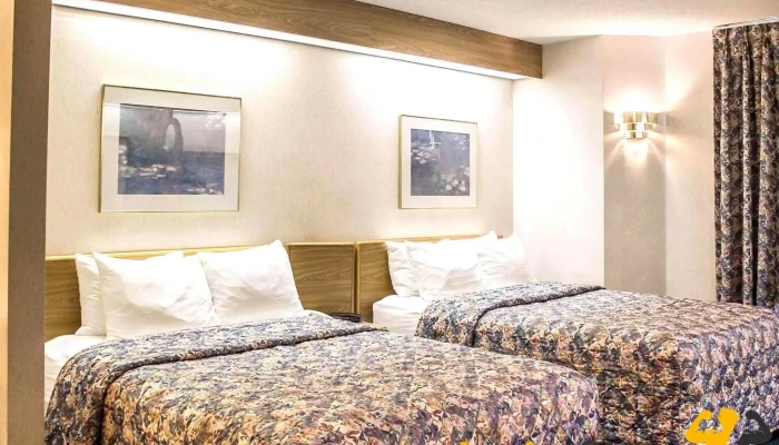 Rodeway Inn -  Rooms - Abbotsford