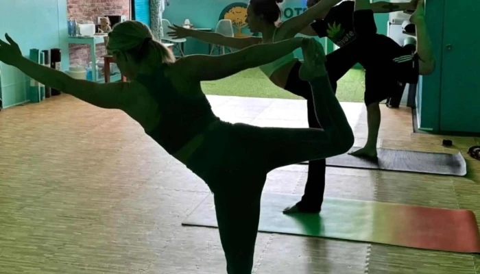 Rooted Yoga -    Quincy Yoga Studio - Quincy