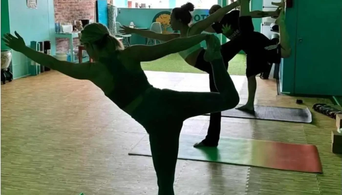 Rooted Yoga -    Quincy Yoga - Quincy