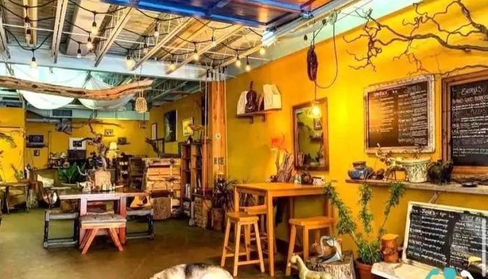 Roots Cafe All - Closter