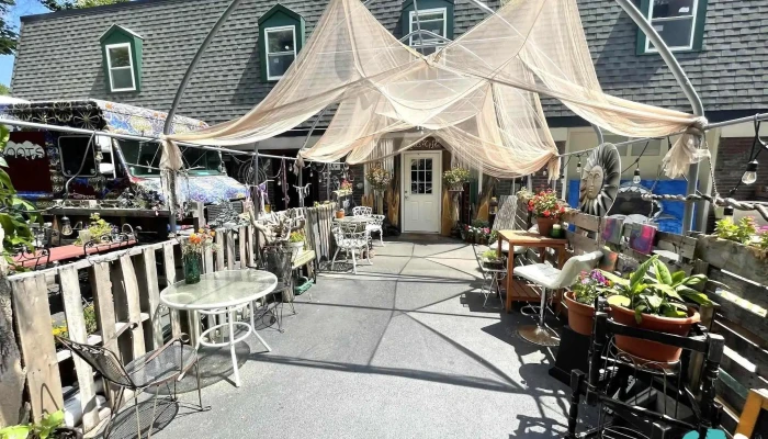 Roots Cafe Vibe - Closter