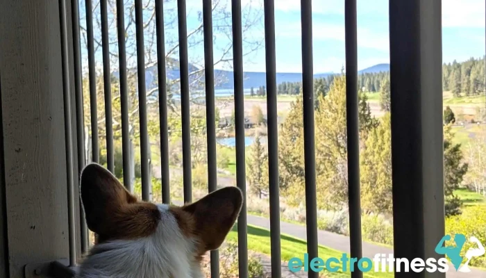 Running Y Resort -  Latest - Klamath Falls