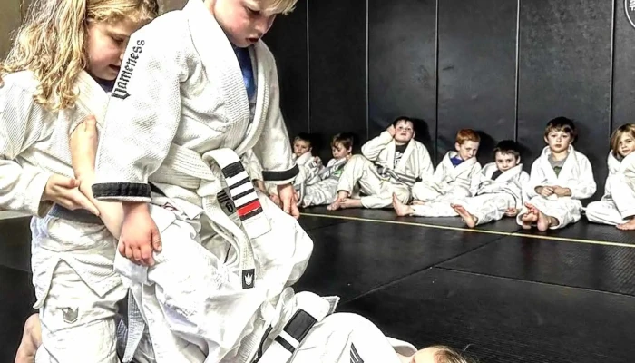 Ryoma Academy Of Martial Arts Llc Martial Arts School - Frostburg