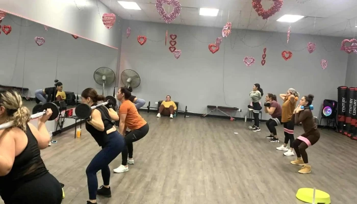 Salmafitness Fitness Center - Addison