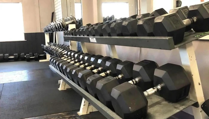Savage Strong Fitness -  Gym - Salmon
