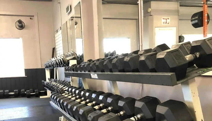 Savage Strong Fitness -  Videos - Salmon