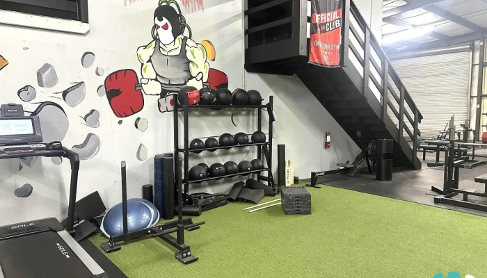 Senkai Strength -  All - Gainesville