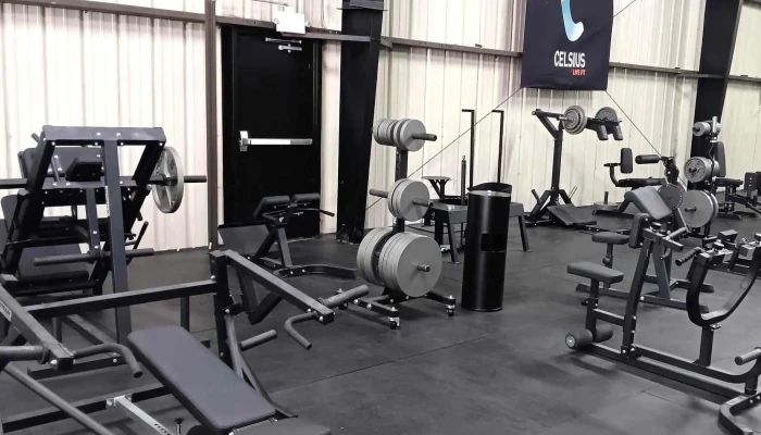 Senkai Strength -  Area - Gainesville