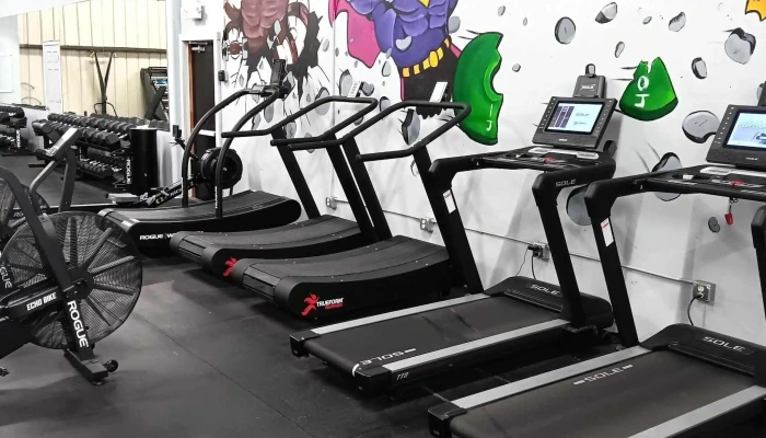 Senkai Strength -  Phone - Gainesville