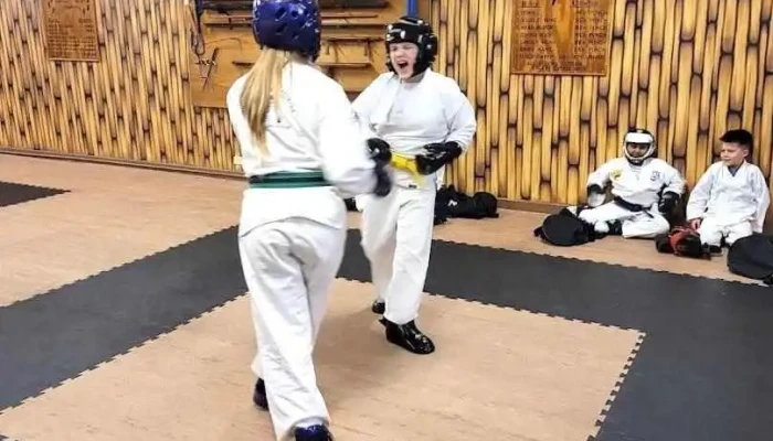 Shorin Ryu Karate Academy - Palestine