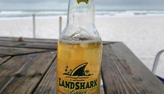 Silver Surf Anna Maria Island -  Food Drink - Bradenton Beach
