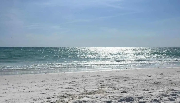 Silver Surf Anna Maria Island -  Latest - Bradenton Beach