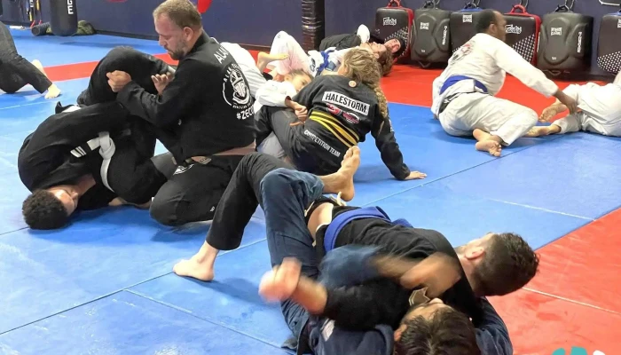 Soul Fighters Martial Arts Training Center -  Community - Allen