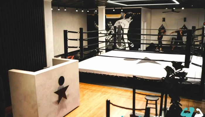 Star Method Boxing -  By Owner - Walnut Creek