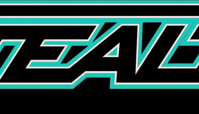 Stealth Athletix -  By Owner - Fort Wayne