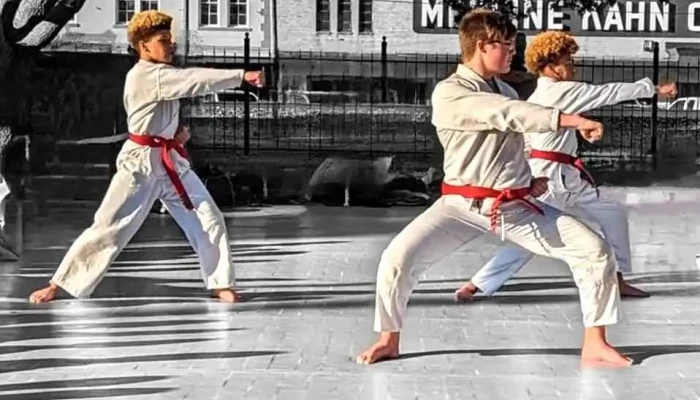 Studio 334 -  Martial Art - Rayne