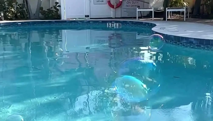 Sunrise Garden Resort On Anna Maria Island By Vacasa -  From Visitors - Anna Maria