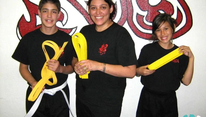 Synergy Martial Arts Fitness All - Westminster
