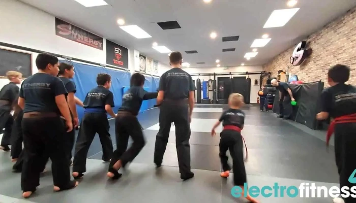 Synergy Martial Arts Fitness Latest - Westminster