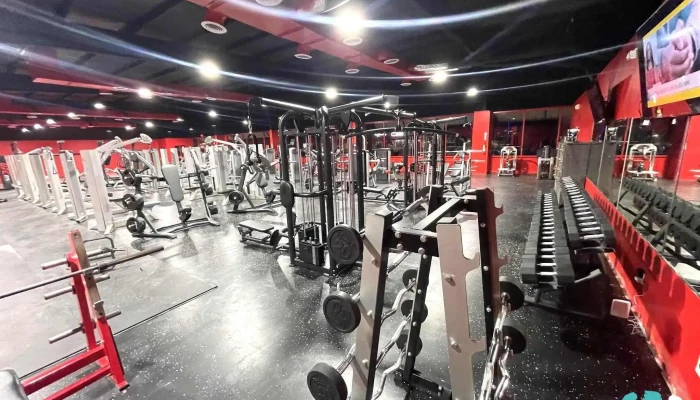 Tbt Gym 247 Fitness Anna Gym - Anna