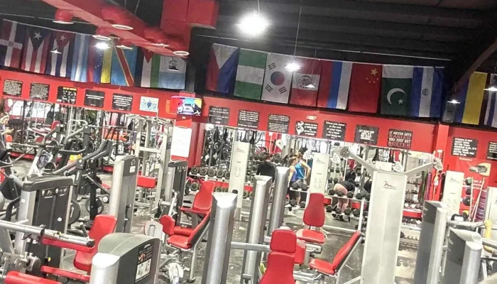 Tbt Gym 247 Fitness Anna Latest - Anna