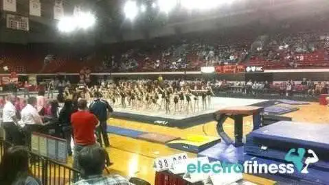 Team Attraction Gymnastics -  All - Apex