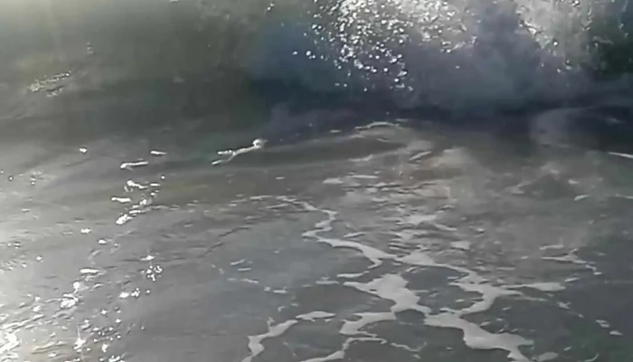 The Beach Club At Anna Maria By Rva -  Videos - Bradenton Beach