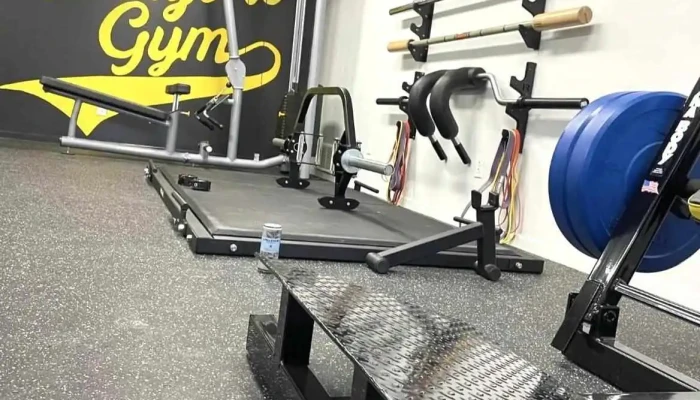 The Everyone Gym -  All - Annandale