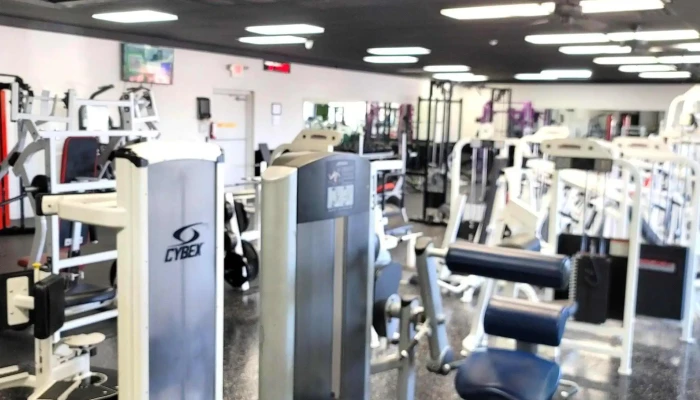 The Gym Show Low -  Area - Show Low