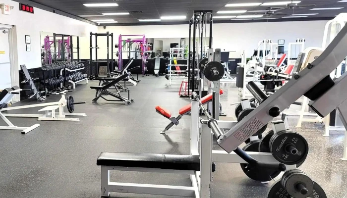 The Gym Show Low -  Gym - Show Low