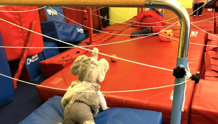 The Little Gym of Littleton - Littleton