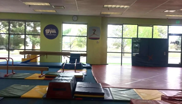 The Little Gym Of Park Meadows -  Website - Lone Tree