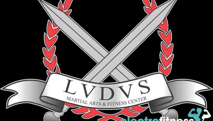 The Ludus Martial Arts and Fitness Center, Llc - Petoskey