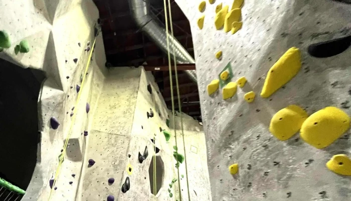 The Studio Climbing -  Instagram - San Jose