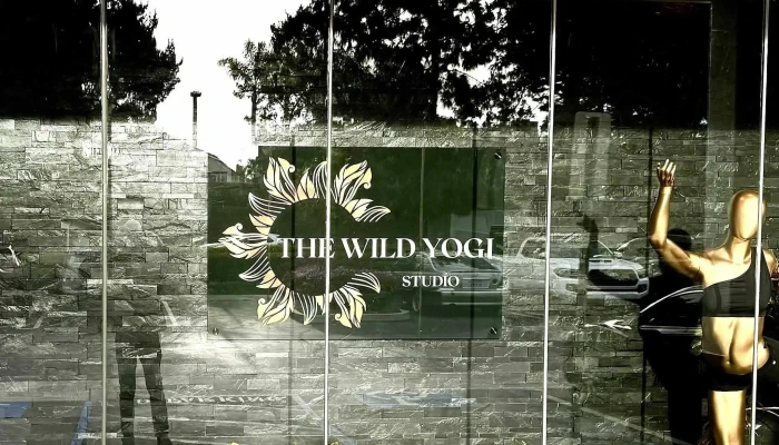 The Wild Yogi Studio -  Website - Aliso Viejo