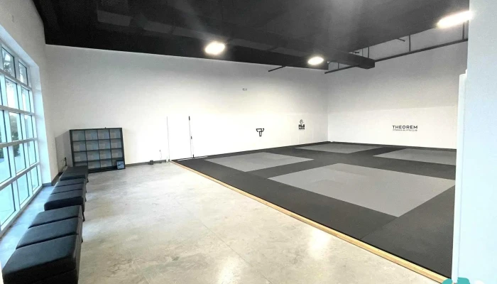 Theorem Fitness Jiu Jitsu Club All - Bonita Springs