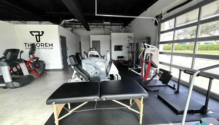 Theorem Fitness Jiu Jitsu Club Gym - Bonita Springs