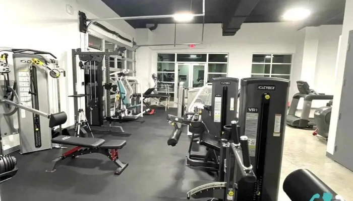 Theorem Fitness Jiu Jitsu Club Physical Fitness - Bonita Springs