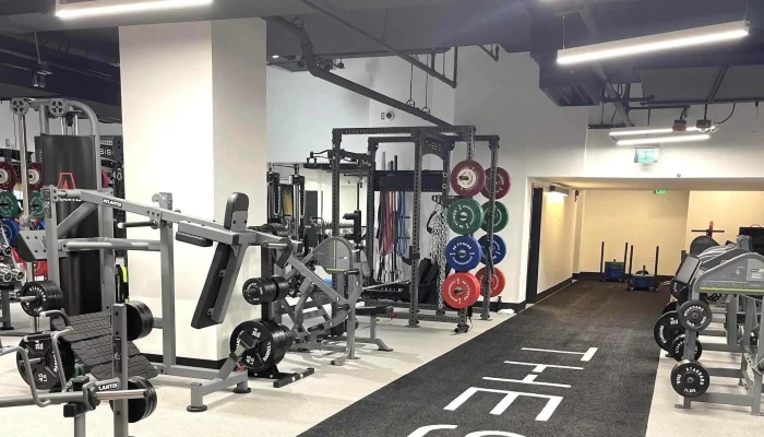 Thesis Personal Training Dc -  Address - Washington