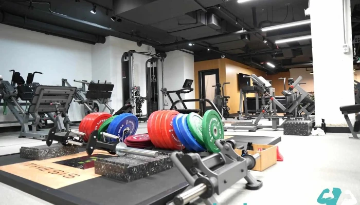 Thesis Personal Training Dc -  Gym - Washington